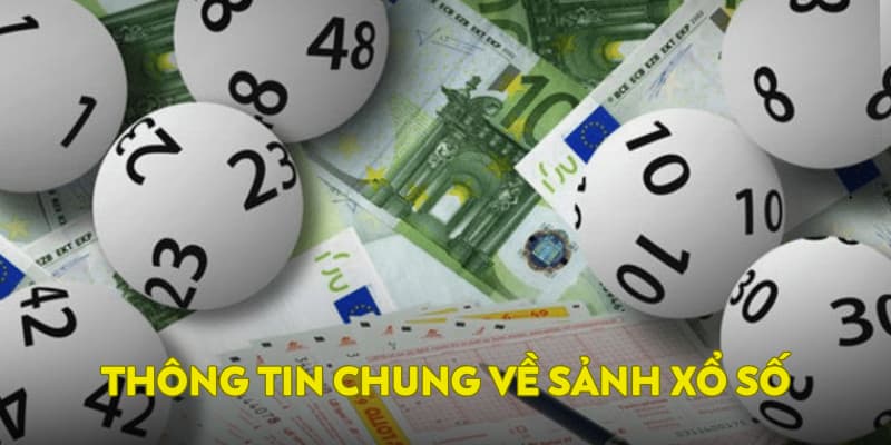 Thông tin chung về sảnh